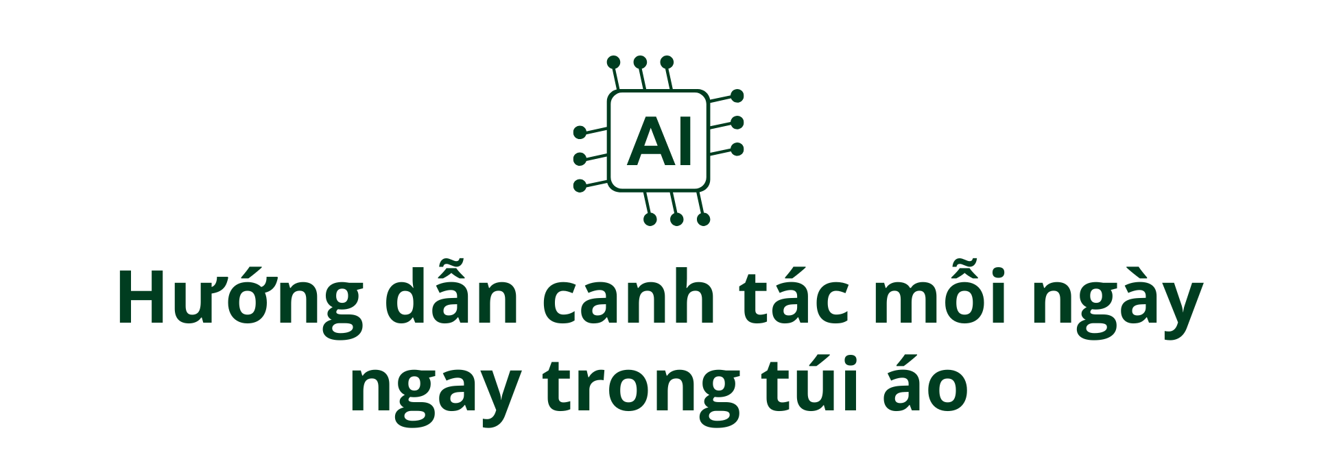 Khi loại nông sản tỷ đô của Ấn Độ gặp khó: AI, dữ liệu vệ tinh, cảm biến đất, máy bay không người lái lập tức vào cuộc- Ảnh 6.