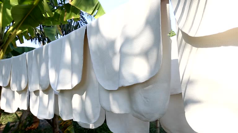 Hàng nghìn tấn 'vàng trắng' của Việt Nam được Mỹ mua với giá đắt đỏ: 1/3 thế giới ưa chuộng, nước ta nắm giữ diện tích trồng hơn 900.000 ha- Ảnh 1.