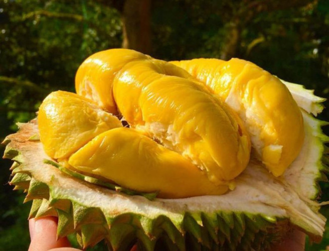 Muốn da đẹp luôn ẩm mịn, trắng sáng vào mùa hè? Ăn ngay 5 loại trái cây Muốn da đẹp luôn ẩm mịn, trắng sáng vào mùa hè? Ăn ngay 5 loại trái cây