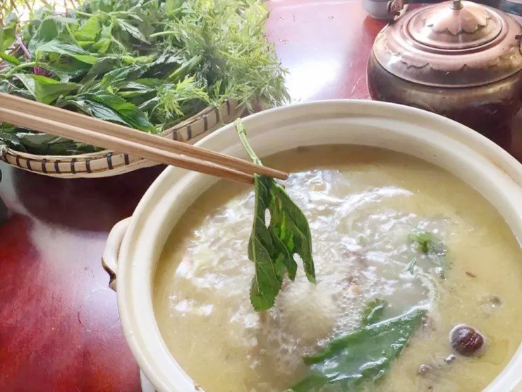 Việt Nam có giống cây chạm vào là ngứa, dân khéo biến hóa thành “mỏ tiền”- Ảnh 4.