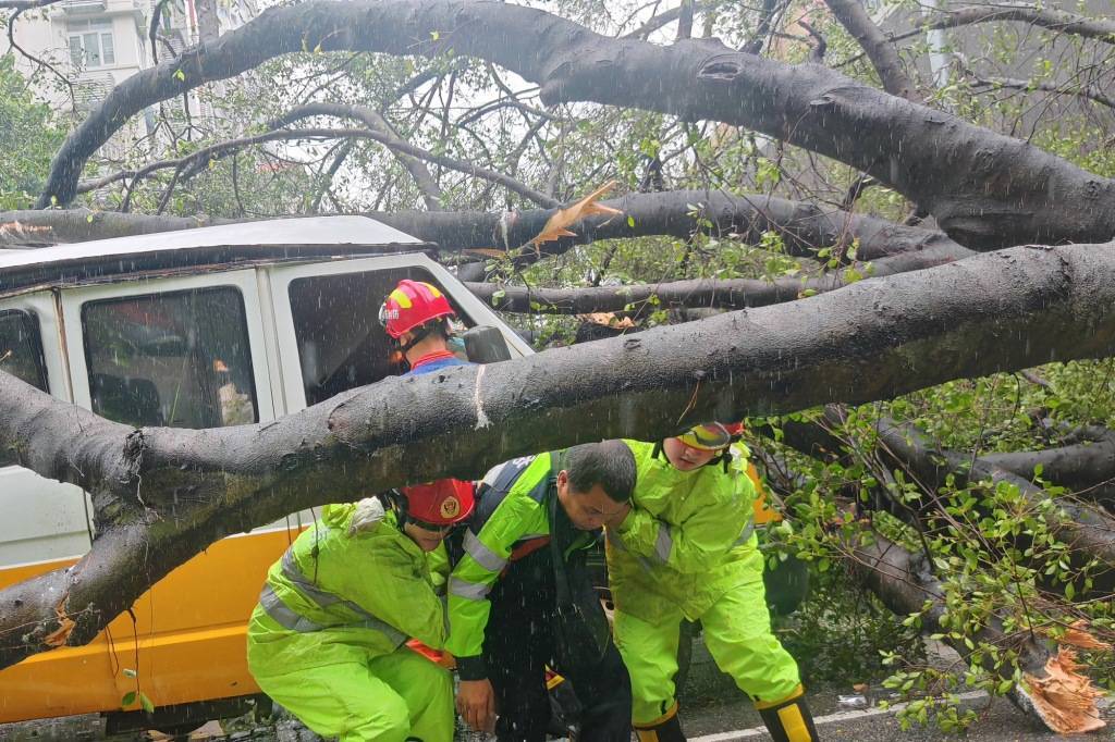 Đây là mức độ tàn phá của bão Wipha tại Trung Quốc: Mưa xối xả, cây bật gốc và cảnh báo nguy cơ tiếp diễn- Ảnh 5. Đây là mức độ tàn phá của bão Wipha tại Trung Quốc: Mưa xối xả, cây bật gốc và cảnh báo nguy cơ tiếp diễn- Ảnh 5.