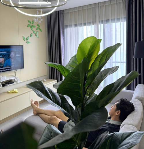 Thông tin mới về diễn viên Huỳnh Anh Tuấn sau đột quỵ- Ảnh 4. Thông tin mới về diễn viên Huỳnh Anh Tuấn sau đột quỵ- Ảnh 4.