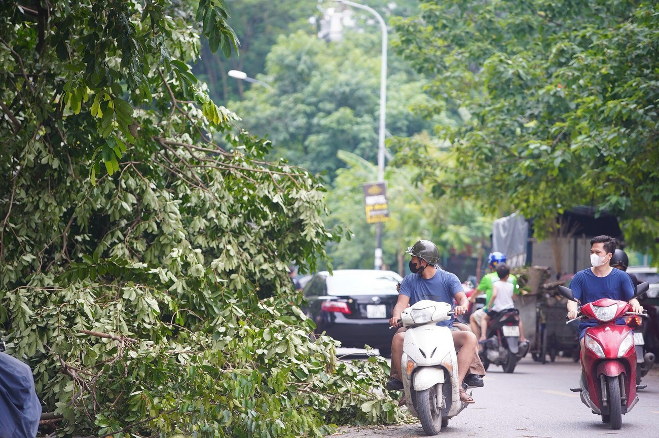 Đại học gấp rút chuyển sang học trực tuyến để phòng tránh bão số 3- Ảnh 1. Đại học gấp rút chuyển sang học trực tuyến để phòng tránh bão số 3- Ảnh 1.