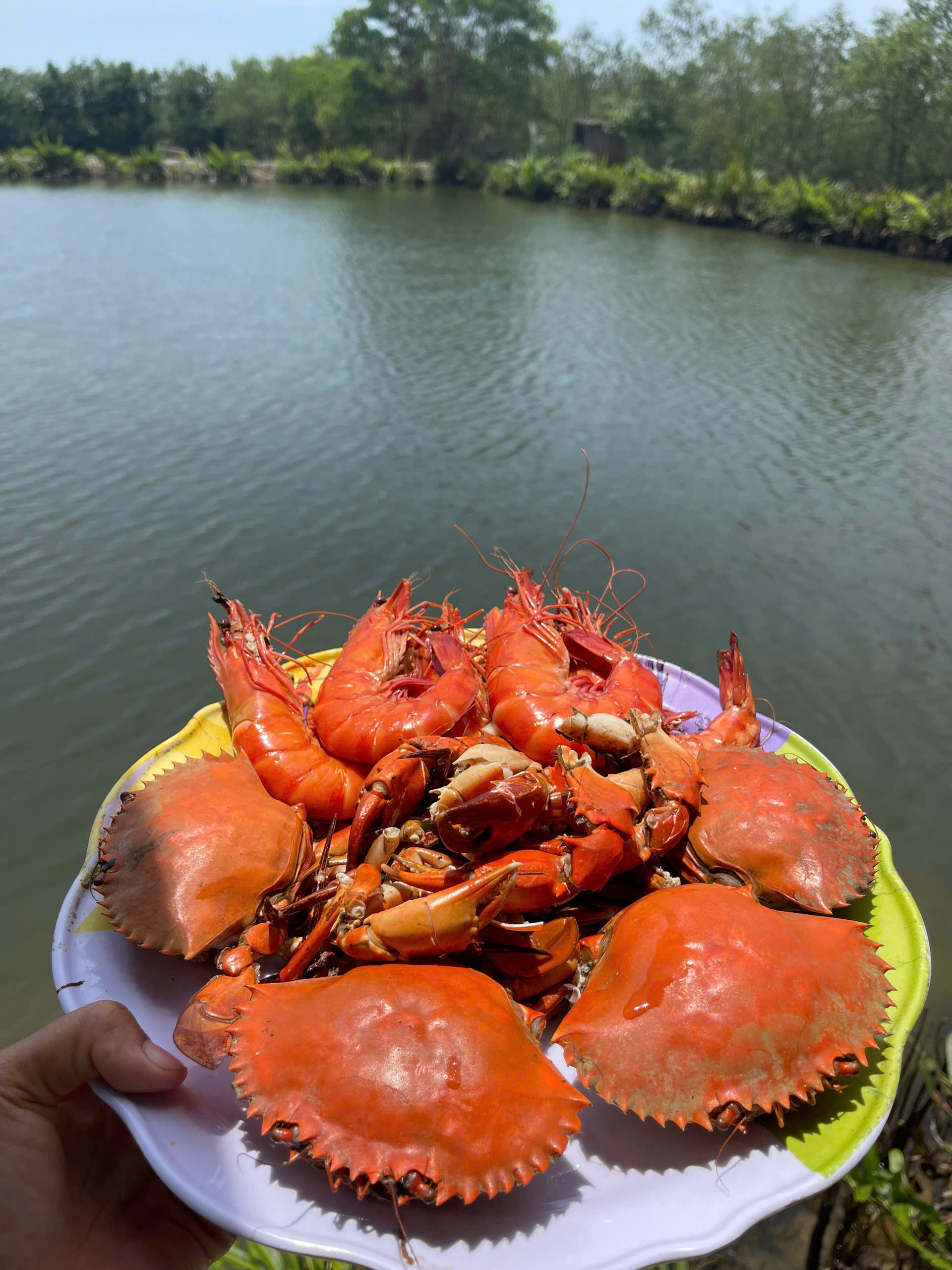 Gặp người phụ nữ Gặp người phụ nữ