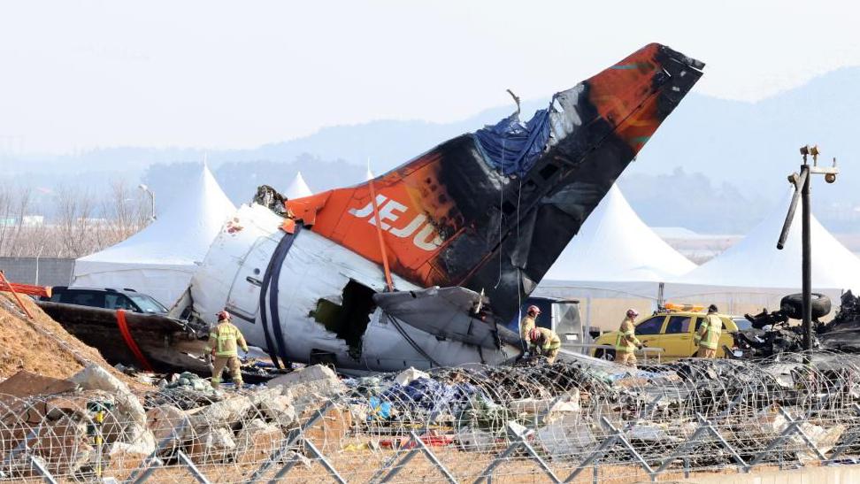 Công bố nguyên nhân sốc khiến máy bay Jeju Air bốc cháy làm 179 người thiệt mạng: Khác với các suy đoán ban đầu- Ảnh 1. Công bố nguyên nhân sốc khiến máy bay Jeju Air bốc cháy làm 179 người thiệt mạng: Khác với các suy đoán ban đầu- Ảnh 1.