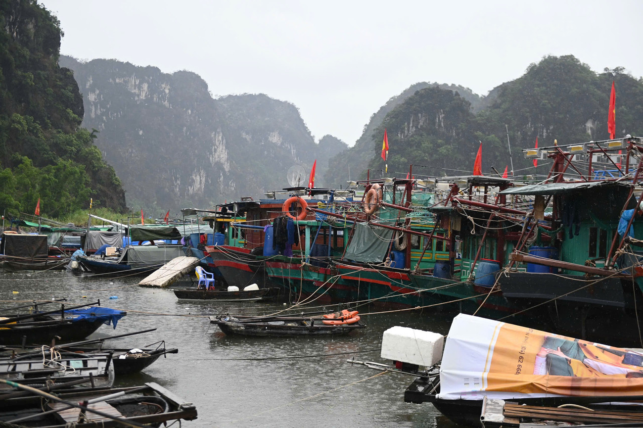 Bão số 3 áp sát: Quảng Ninh di dời gần 10.000 người, đưa 14.000 du khách về bờ- Ảnh 2. Bão số 3 áp sát: Quảng Ninh di dời gần 10.000 người, đưa 14.000 du khách về bờ- Ảnh 2.