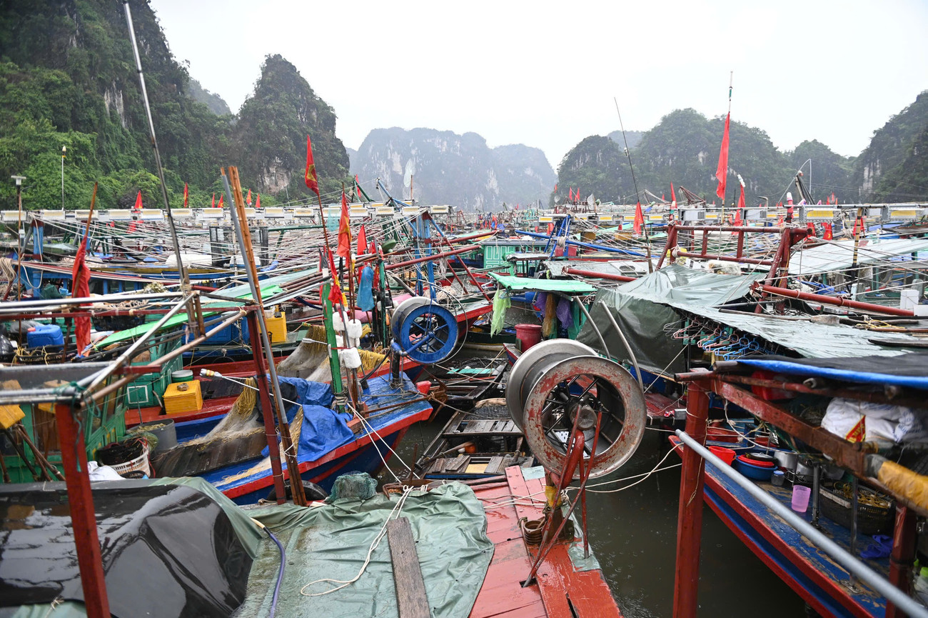Bão số 3 áp sát: Quảng Ninh di dời gần 10.000 người, đưa 14.000 du khách về bờ- Ảnh 1. Bão số 3 áp sát: Quảng Ninh di dời gần 10.000 người, đưa 14.000 du khách về bờ- Ảnh 1.
