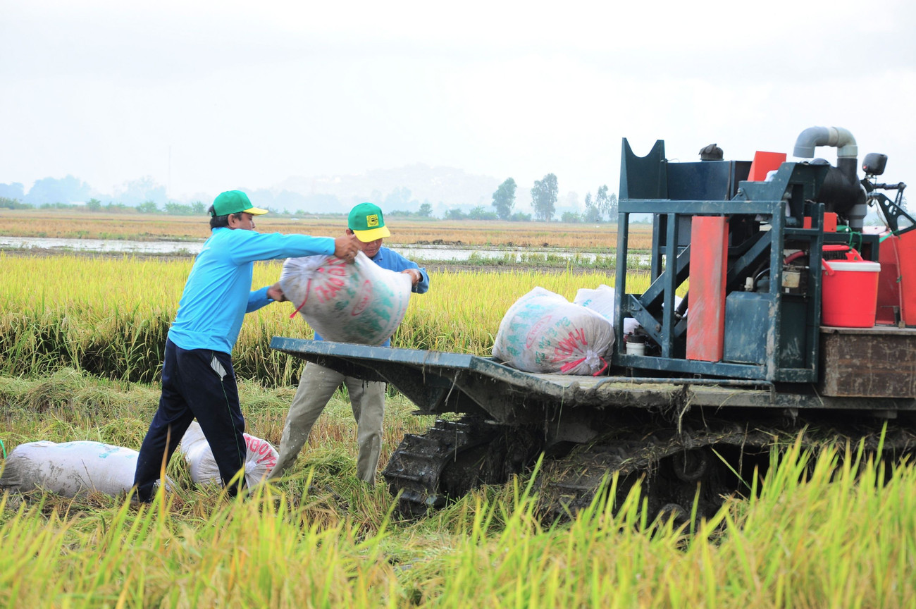 Thủ tướng giao khẩn trương gỡ khó cho các dự án trọng điểm miền Tây- Ảnh 2. Thủ tướng giao khẩn trương gỡ khó cho các dự án trọng điểm miền Tây- Ảnh 2.