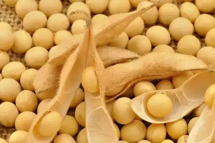 Những thực phẩm tránh kết hợp với ngô- Ảnh 5. Những thực phẩm tránh kết hợp với ngô- Ảnh 5.