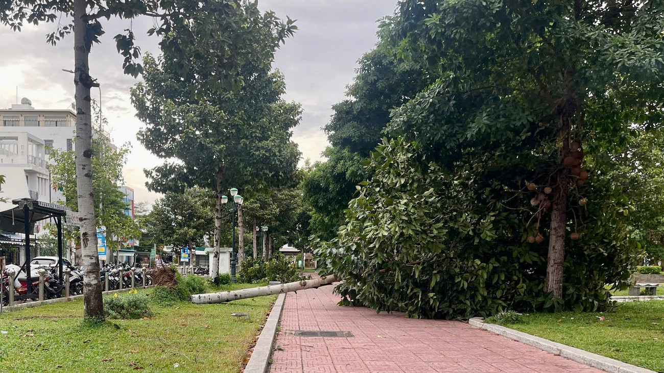 Lâm Đồng: Mưa lớn, gió mạnh quật đổ nhiều cây xanh, đè bẹp xe ô tô, tốc mái nhà- Ảnh 5.