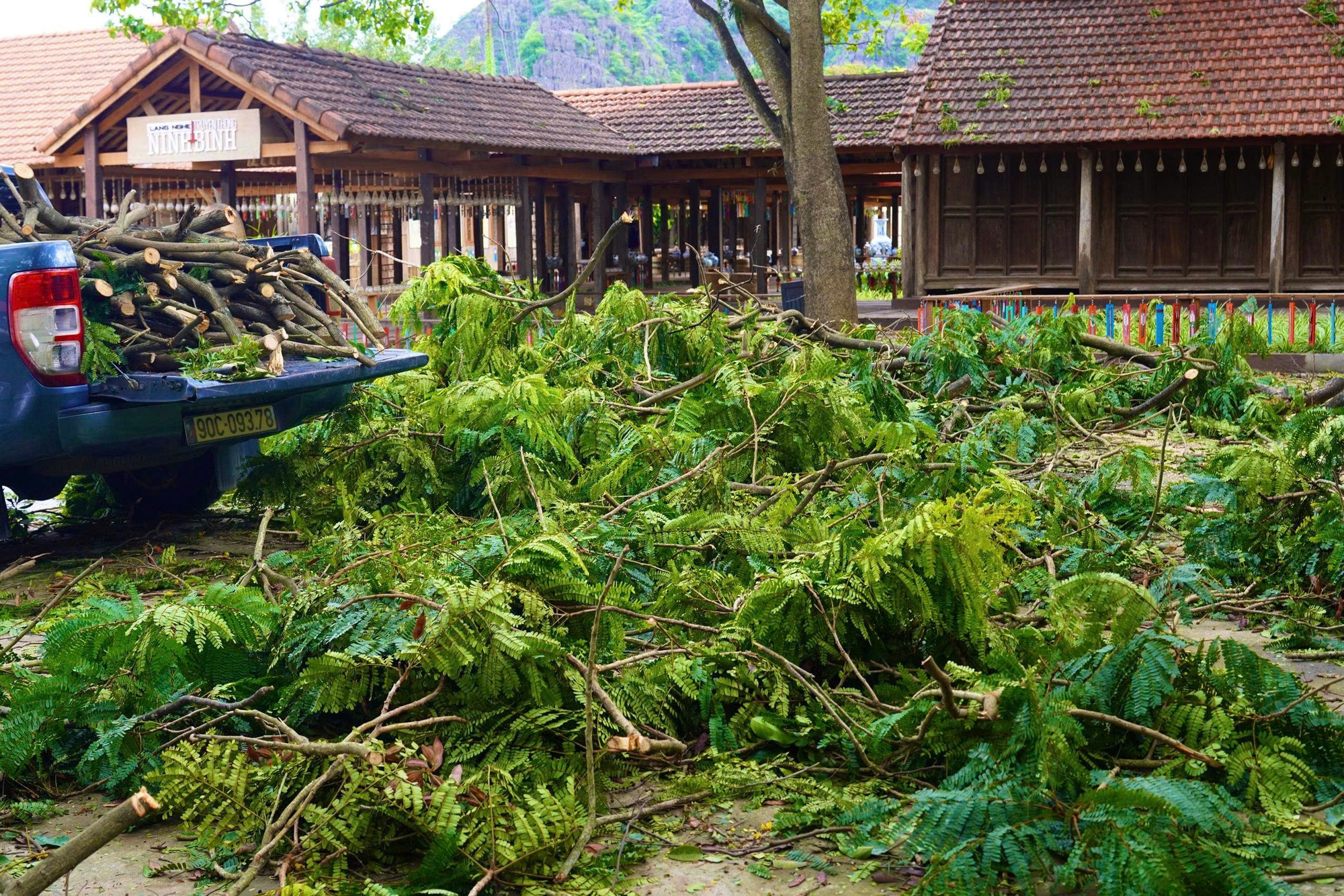Ninh Bình tạm dừng hoạt động đón khách du lịch bằng tàu thuyền- Ảnh 3. Ninh Bình tạm dừng hoạt động đón khách du lịch bằng tàu thuyền- Ảnh 3.
