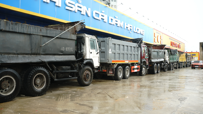 Trước giờ bão đổ bộ: Đường phố Quảng Ninh không một bóng người, gió mạnh hất văng bốt bảo vệ ra xa 6 mét- Ảnh 10.