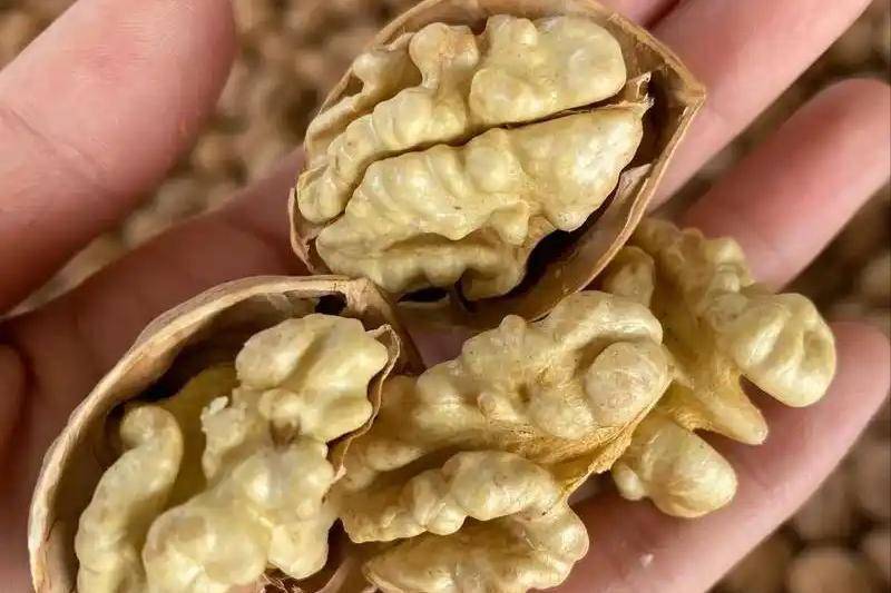 Đã tìm ra "quán quân" nuôi dưỡng trái tim: Không phải táo đỏ, mà là một cặp đôi giàu omega-3, có thể giúp trái tim "trẻ trung" lâu dài!- Ảnh 4. Đã tìm ra "quán quân" nuôi dưỡng trái tim: Không phải táo đỏ, mà là một cặp đôi giàu omega-3, có thể giúp trái tim "trẻ trung" lâu dài!- Ảnh 4.