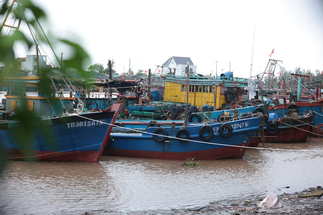 Toàn cảnh bão số 3 Wipha đổ bộ: Suy yếu khi vào đất liền vẫn gây mưa lớn, tăng nguy cơ lũ quét và sạt lở- Ảnh 23. Toàn cảnh bão số 3 Wipha đổ bộ: Suy yếu khi vào đất liền vẫn gây mưa lớn, tăng nguy cơ lũ quét và sạt lở- Ảnh 23.