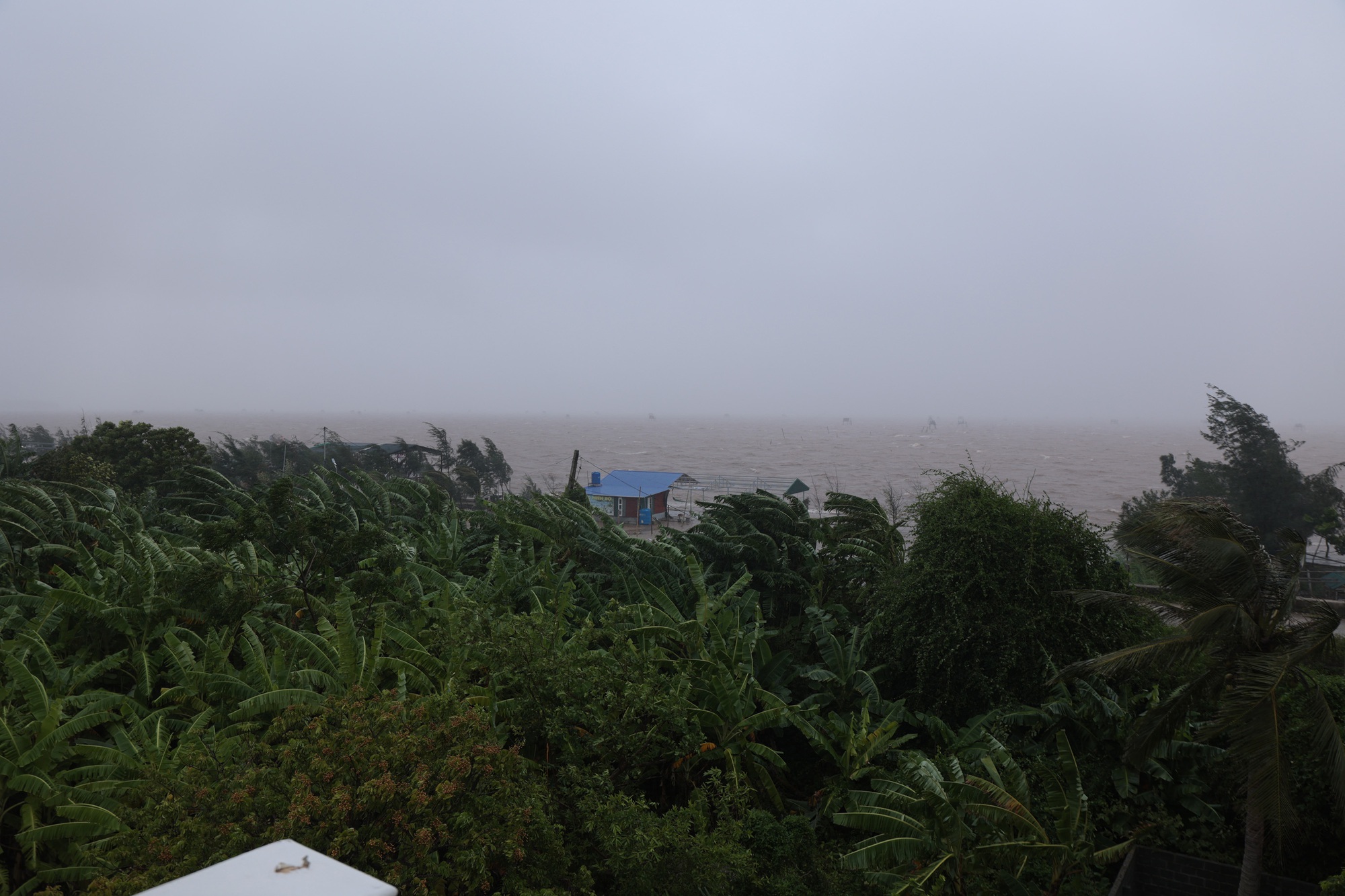 Toàn cảnh bão số 3 Wipha đổ bộ: Suy yếu khi vào đất liền vẫn gây mưa lớn, tăng nguy cơ lũ quét và sạt lở- Ảnh 15. Toàn cảnh bão số 3 Wipha đổ bộ: Suy yếu khi vào đất liền vẫn gây mưa lớn, tăng nguy cơ lũ quét và sạt lở- Ảnh 15.