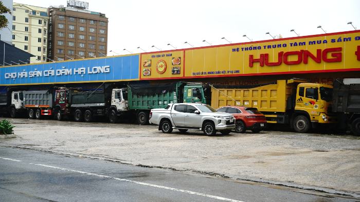 Trước giờ bão đổ bộ: Đường phố Quảng Ninh không một bóng người, gió mạnh hất văng bốt bảo vệ ra xa 6 mét- Ảnh 8.