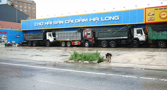Toàn cảnh bão số 3 Wipha đổ bộ: Suy yếu khi vào đất liền vẫn gây mưa lớn, tăng nguy cơ lũ quét và sạt lở- Ảnh 75. Toàn cảnh bão số 3 Wipha đổ bộ: Suy yếu khi vào đất liền vẫn gây mưa lớn, tăng nguy cơ lũ quét và sạt lở- Ảnh 75.