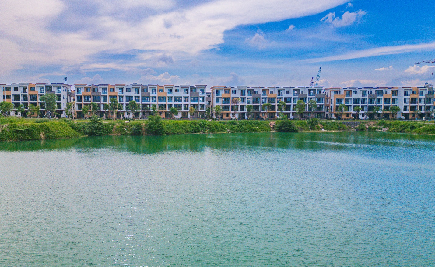 SonKim Land  chính thức bàn giao khu biệt thự Alta Villa tại The 9 Stellars- Ảnh 7.