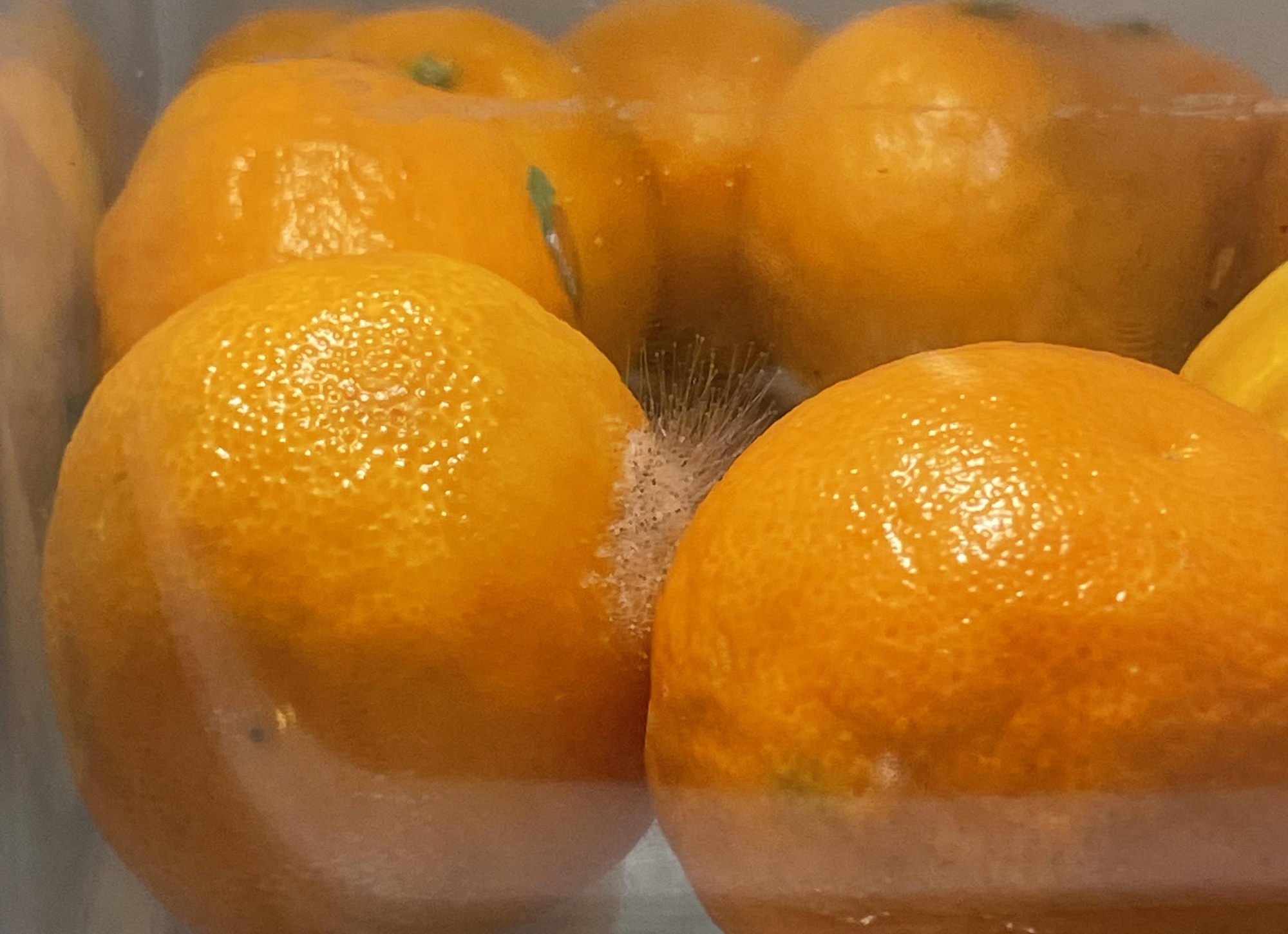 3 loại trái cây tế bào ung thư rất yêu thích, có "bán rẻ như cho" cũng đừng động vào dù chỉ 1 lần!- Ảnh 2. 3 loại trái cây tế bào ung thư rất yêu thích, có "bán rẻ như cho" cũng đừng động vào dù chỉ 1 lần!- Ảnh 2.