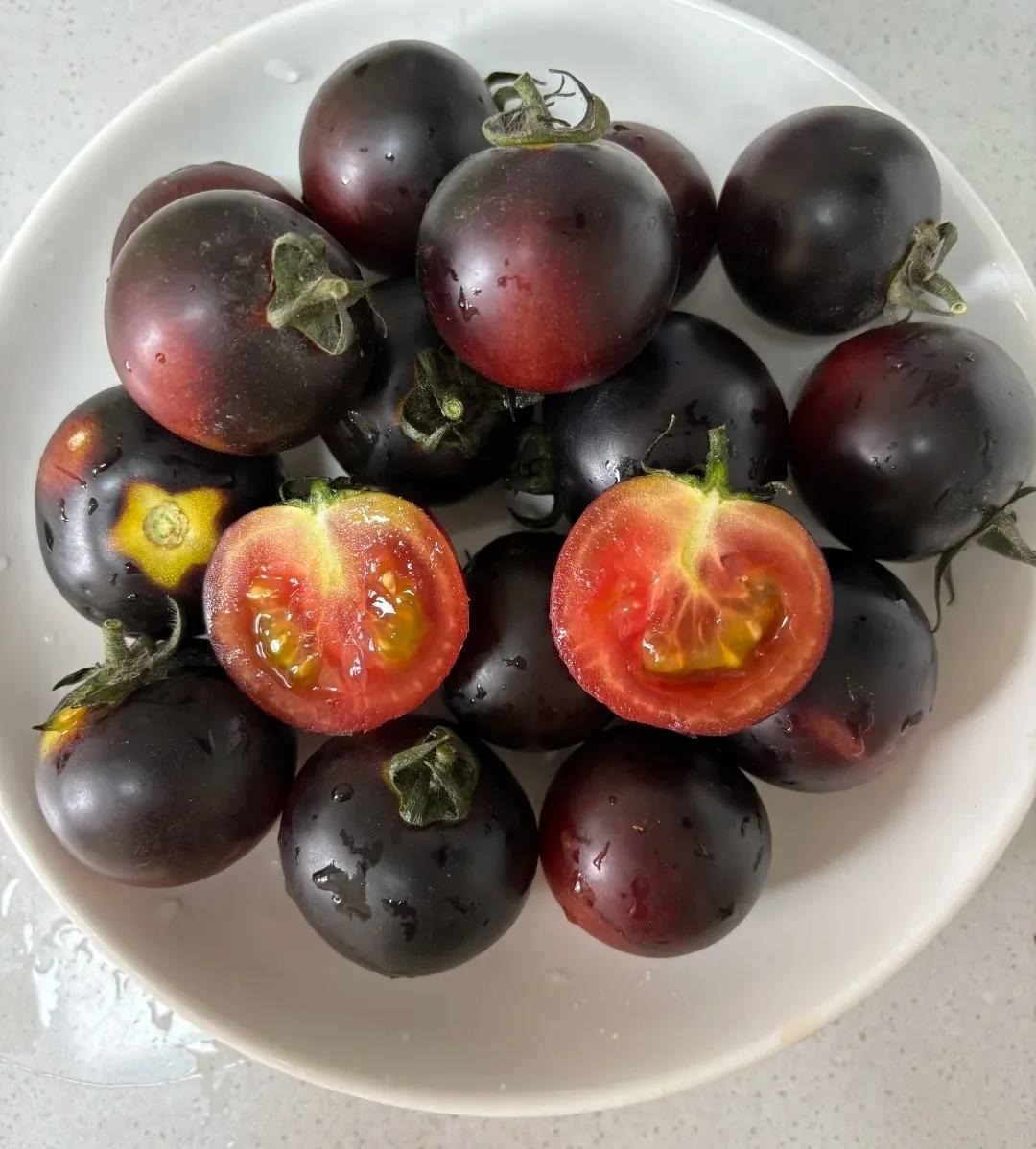 Ngồi giữa chợ bán hơn 50 loại cà chua, người phụ nữ trung niên gây bão mạng- Ảnh 5. Ngồi giữa chợ bán hơn 50 loại cà chua, người phụ nữ trung niên gây bão mạng- Ảnh 5.