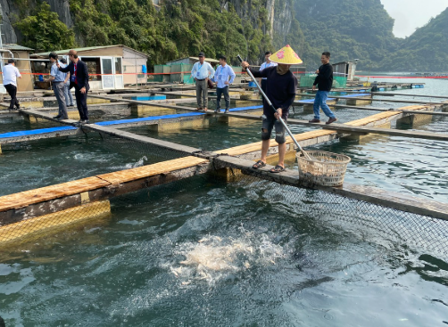 Kho báu ngầm của Việt Nam được Hàn Quốc, Thái Lan cực kỳ mê: Nửa năm thu hơn 300 triệu USD - Mỹ, Trung Quốc cũng liên tục chốt đơn- Ảnh 1. Kho báu ngầm của Việt Nam được Hàn Quốc, Thái Lan cực kỳ mê: Nửa năm thu hơn 300 triệu USD - Mỹ, Trung Quốc cũng liên tục chốt đơn- Ảnh 1.