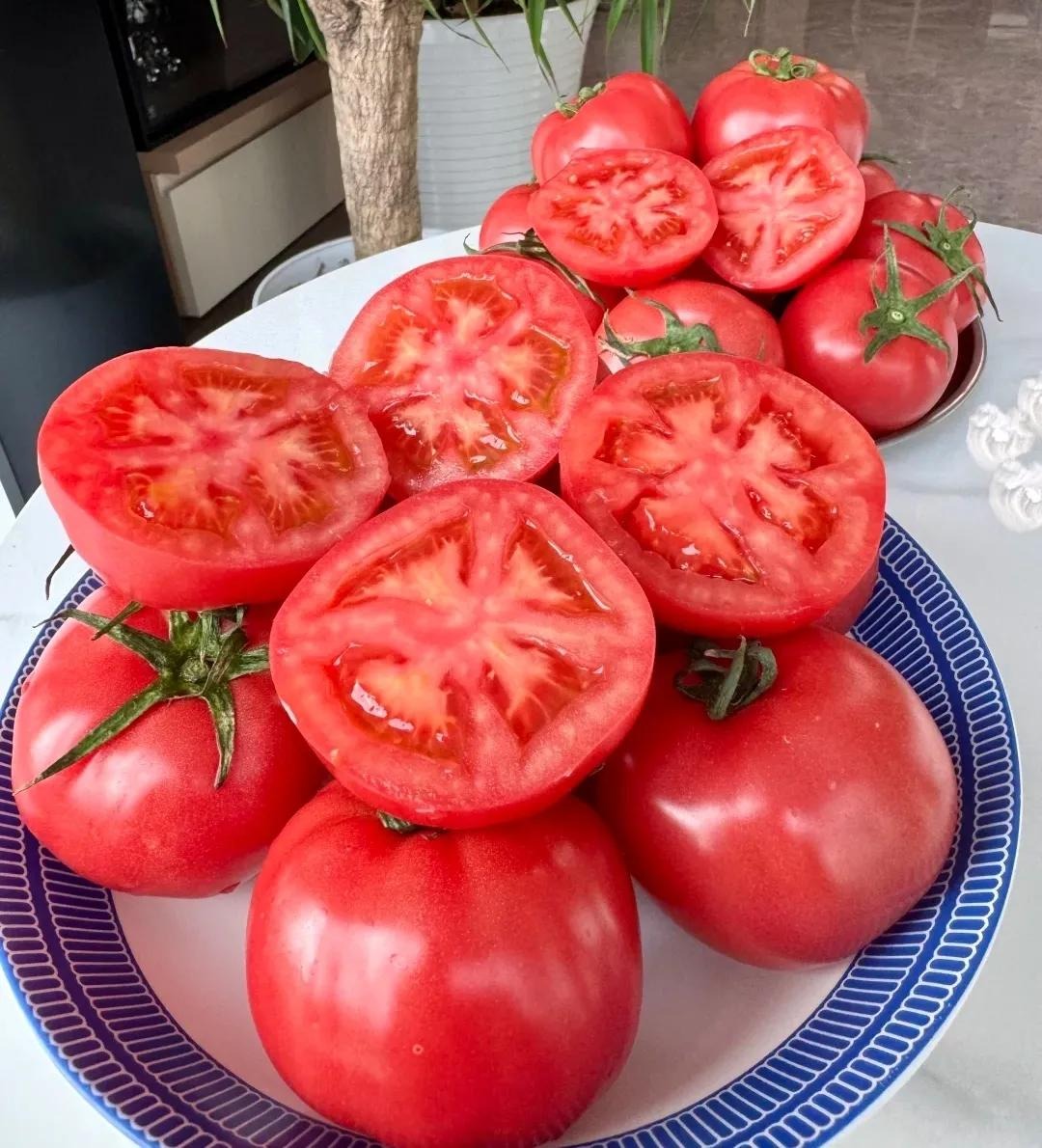 Ngồi giữa chợ bán hơn 50 loại cà chua, người phụ nữ trung niên gây bão mạng- Ảnh 11. Ngồi giữa chợ bán hơn 50 loại cà chua, người phụ nữ trung niên gây bão mạng- Ảnh 11.