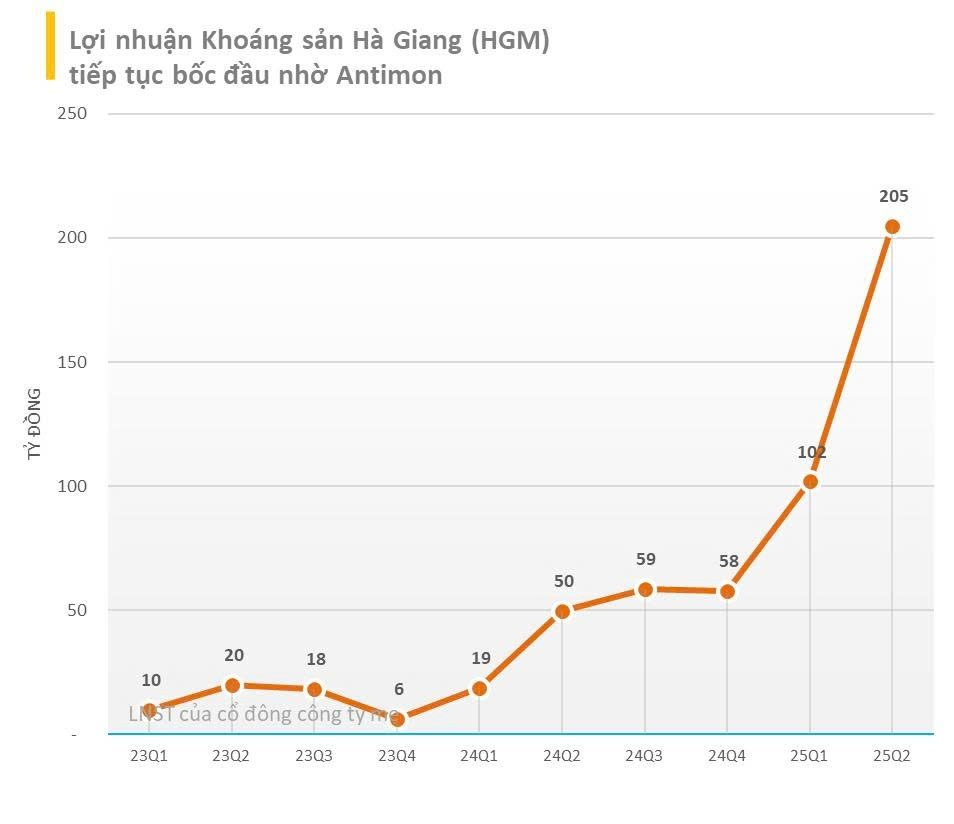 Những đồ thị tăng trưởng lợi nhuận ấn tượng nhất quý 2/2025: Loạt doanh nghiệp thiết lập đỉnh lịch sử mới- Ảnh 7.