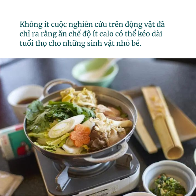 Không ăn thịt có thật sự kéo dài tuổi thọ? Nghiên cứu chỉ ra: Có 3 loại thịt càng nên ăn nhiều, dinh dưỡng dễ hấp thu- Ảnh 1. Không ăn thịt có thật sự kéo dài tuổi thọ? Nghiên cứu chỉ ra: Có 3 loại thịt càng nên ăn nhiều, dinh dưỡng dễ hấp thu- Ảnh 1.