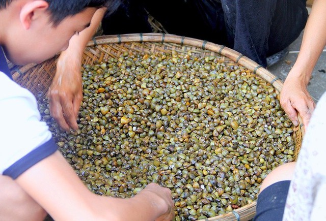 Khách Tây trầm trồ trước đặc sản "cho người nghèo" ở Huế, nhận xét: Ấn tượng với nguyên liệu trong đây- Ảnh 3.