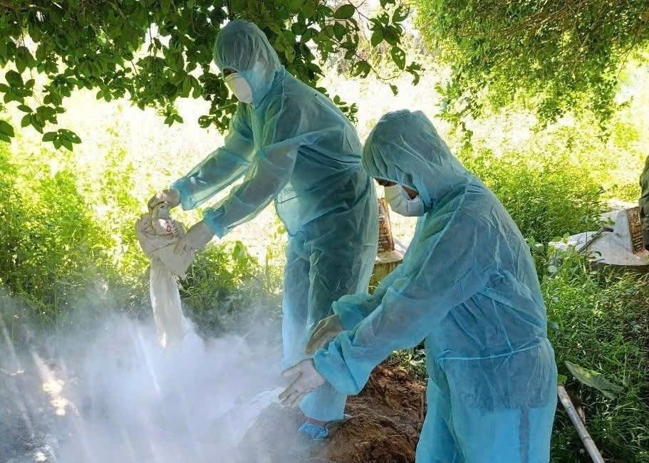 Thịt lợn ế chưa từng có- Ảnh 9. Thịt lợn ế chưa từng có- Ảnh 9.