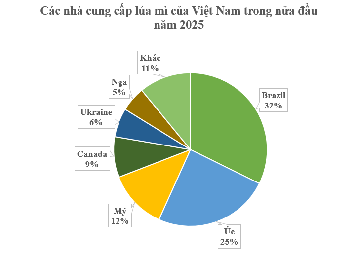 Nga, Ukraine đua nhau gửi đến Việt Nam hàng trăm nghìn tấn 'báu vật' nông sản: Thuế nhập khẩu 0%, nước ta lọt top 10 tiêu thụ nhiều nhất thế giới- Ảnh 2.