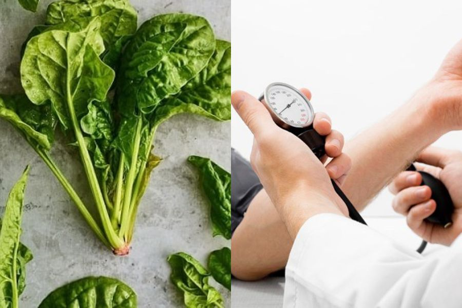 Mỹ đánh giá đây là "vua rau xanh", giàu sắt hơn hẳn thịt bò: Giúp tim khỏe, mắt sáng, tốt nhất thế giới- Ảnh 2. Mỹ đánh giá đây là "vua rau xanh", giàu sắt hơn hẳn thịt bò: Giúp tim khỏe, mắt sáng, tốt nhất thế giới- Ảnh 2.
