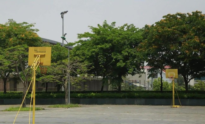 Ngôi trường "đỉnh" nhất lúc này: 3 năm liền có học sinh đạt HCV Olympic Quốc tế, gần như năm nào cũng có Thủ khoa, Á khoa thi ĐH- Ảnh 14.