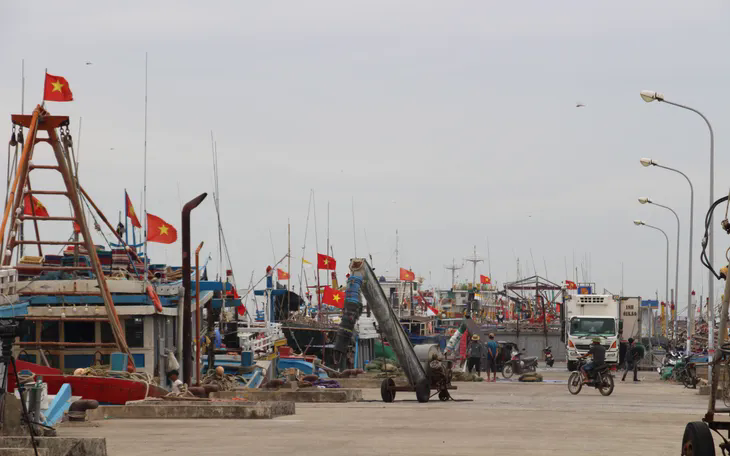Khuôn viên cảng cá Ninh Cơ. Ảnh: Mai Chiến