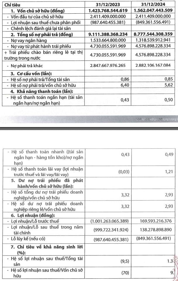 Điện mặt trời Trung Nam - Thuận Nam lãi ròng hơn 138,2 tỷ đồng trong năm 2024, lỗ lũy kế giảm xuống 849,3 tỷ đồng- Ảnh 2.