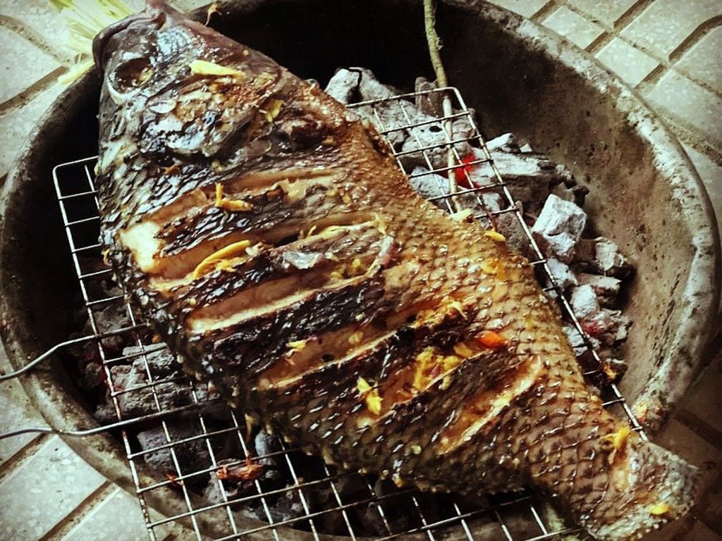 Bật điều hòa để ăn món ngon này, 3 phụ nữ cùng lúc hôn mê, suýt mất mạng trong phòng cấp cứu- Ảnh 1. Bật điều hòa để ăn món ngon này, 3 phụ nữ cùng lúc hôn mê, suýt mất mạng trong phòng cấp cứu- Ảnh 1.