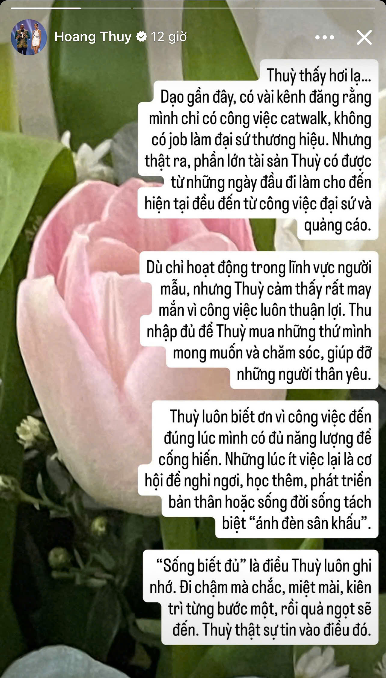 Bị mỉa mai ế show quảng cáo, Hoàng Thuỳ tuyên bố: Bị mỉa mai ế show quảng cáo, Hoàng Thuỳ tuyên bố: