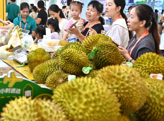 Tin vui cho sầu riêng Đông Nam Á: Nhu cầu sầu riêng của Trung Quốc bùng nổ trở lại, một nhà cung cấp thị phần tăng gấp 10 lần kể từ đầu năm- Ảnh 1. Tin vui cho sầu riêng Đông Nam Á: Nhu cầu sầu riêng của Trung Quốc bùng nổ trở lại, một nhà cung cấp thị phần tăng gấp 10 lần kể từ đầu năm- Ảnh 1.