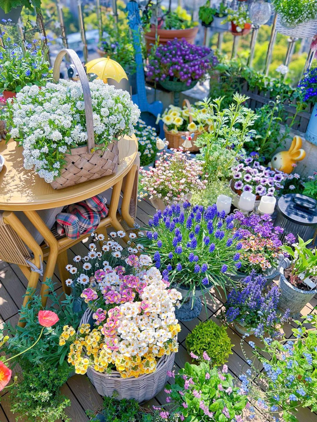 Tôi cải tạo sân thượng 10m² thành vườn hoa nở quanh năm và 4 năm sau khiến ai đến cũng phải trầm trồ- Ảnh 4.