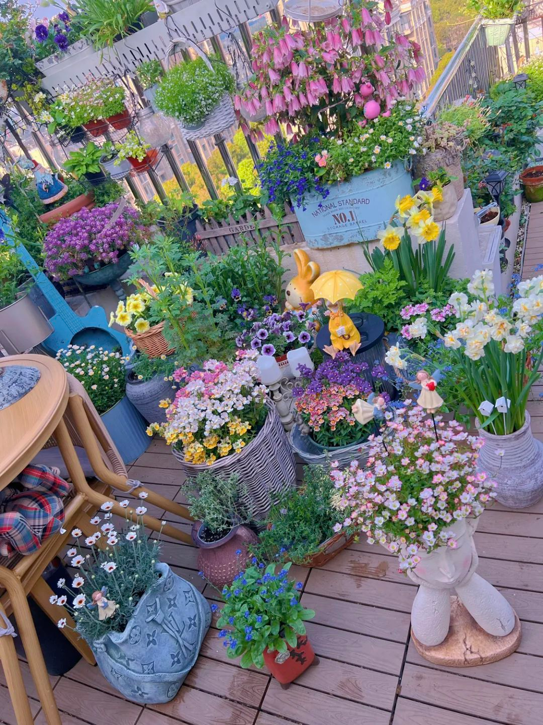 Tôi cải tạo sân thượng 10m² thành vườn hoa nở quanh năm và 4 năm sau khiến ai đến cũng phải trầm trồ- Ảnh 3.