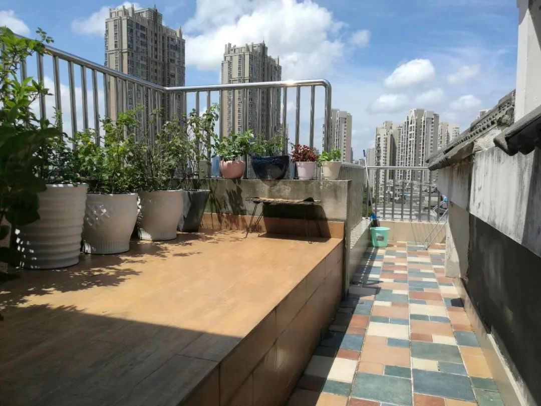 Tôi cải tạo sân thượng 10m² thành vườn hoa nở quanh năm và 4 năm sau khiến ai đến cũng phải trầm trồ- Ảnh 1.