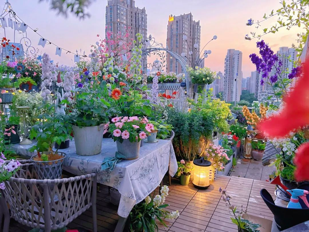 Tôi cải tạo sân thượng 10m² thành vườn hoa nở quanh năm và 4 năm sau khiến ai đến cũng phải trầm trồ- Ảnh 2.