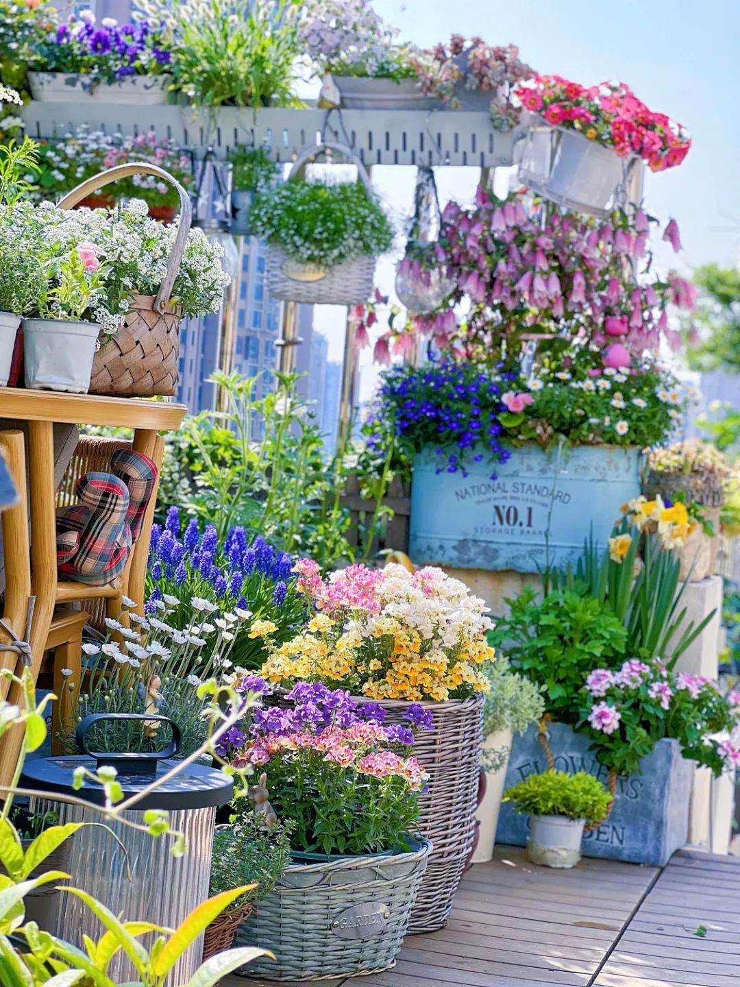 Tôi cải tạo sân thượng 10m² thành vườn hoa nở quanh năm và 4 năm sau khiến ai đến cũng phải trầm trồ- Ảnh 7.