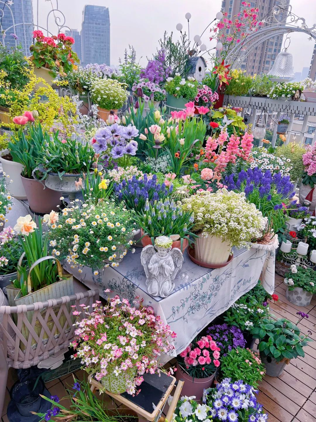 Tôi cải tạo sân thượng 10m² thành vườn hoa nở quanh năm và 4 năm sau khiến ai đến cũng phải trầm trồ- Ảnh 13.