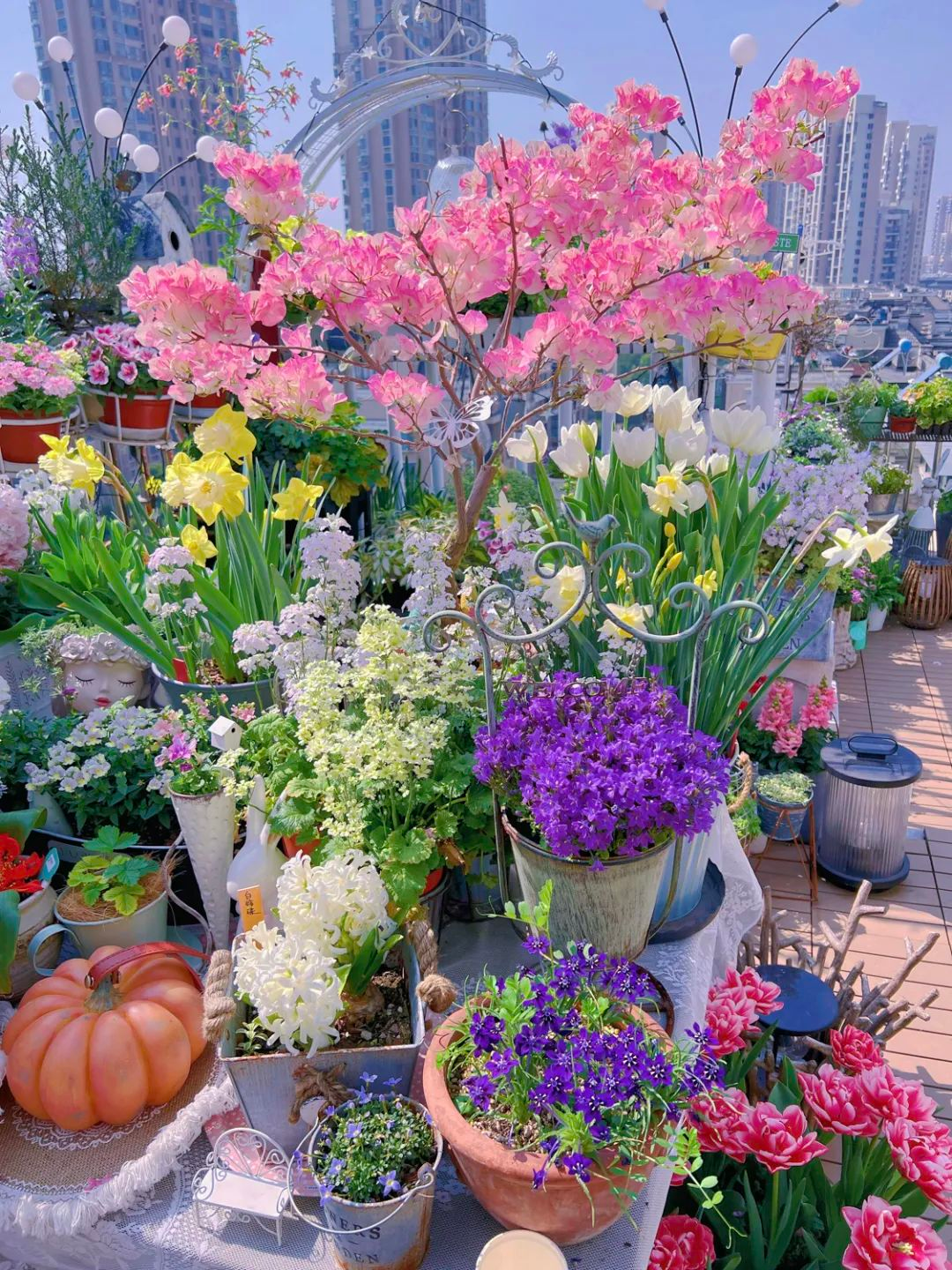 Tôi cải tạo sân thượng 10m² thành vườn hoa nở quanh năm và 4 năm sau khiến ai đến cũng phải trầm trồ- Ảnh 20.