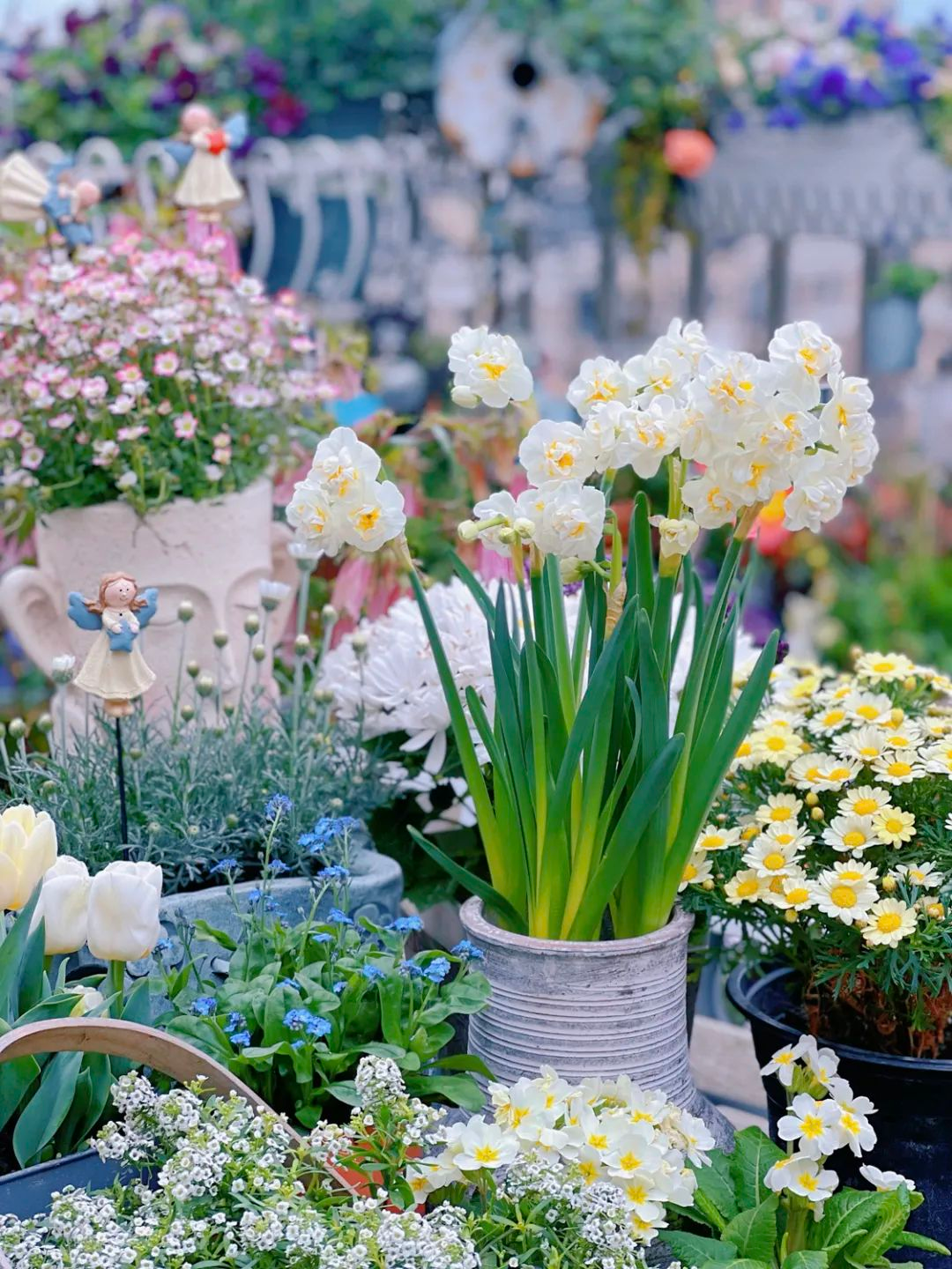 Tôi cải tạo sân thượng 10m² thành vườn hoa nở quanh năm và 4 năm sau khiến ai đến cũng phải trầm trồ- Ảnh 18.