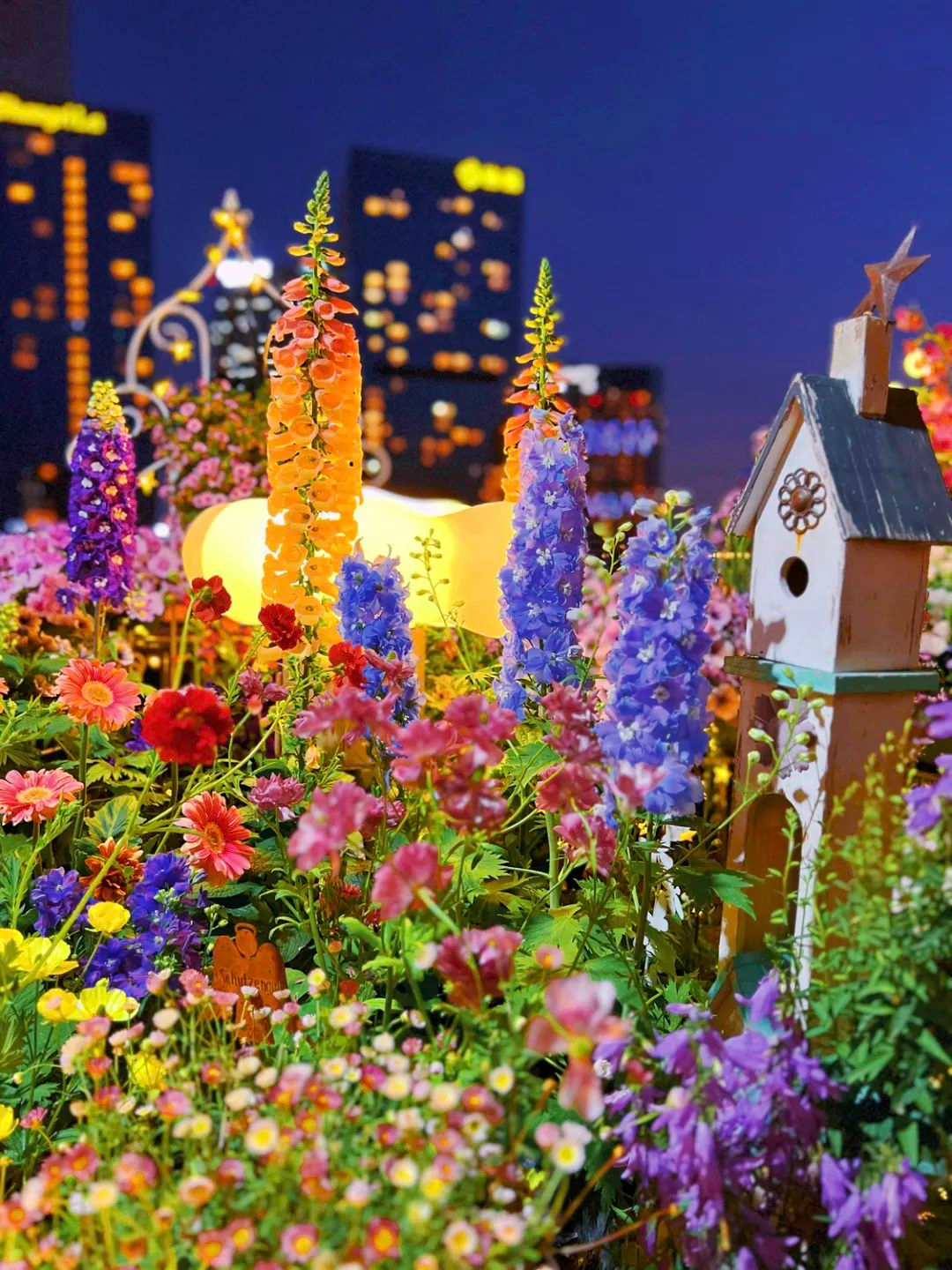 Tôi cải tạo sân thượng 10m² thành vườn hoa nở quanh năm và 4 năm sau khiến ai đến cũng phải trầm trồ- Ảnh 24.