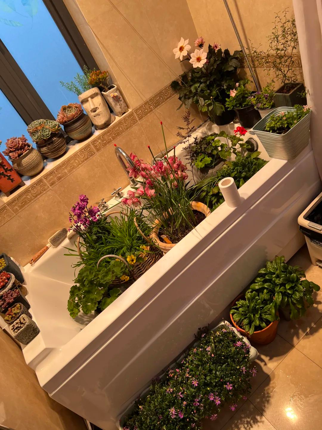 Tôi cải tạo sân thượng 10m² thành vườn hoa nở quanh năm và 4 năm sau khiến ai đến cũng phải trầm trồ- Ảnh 21.