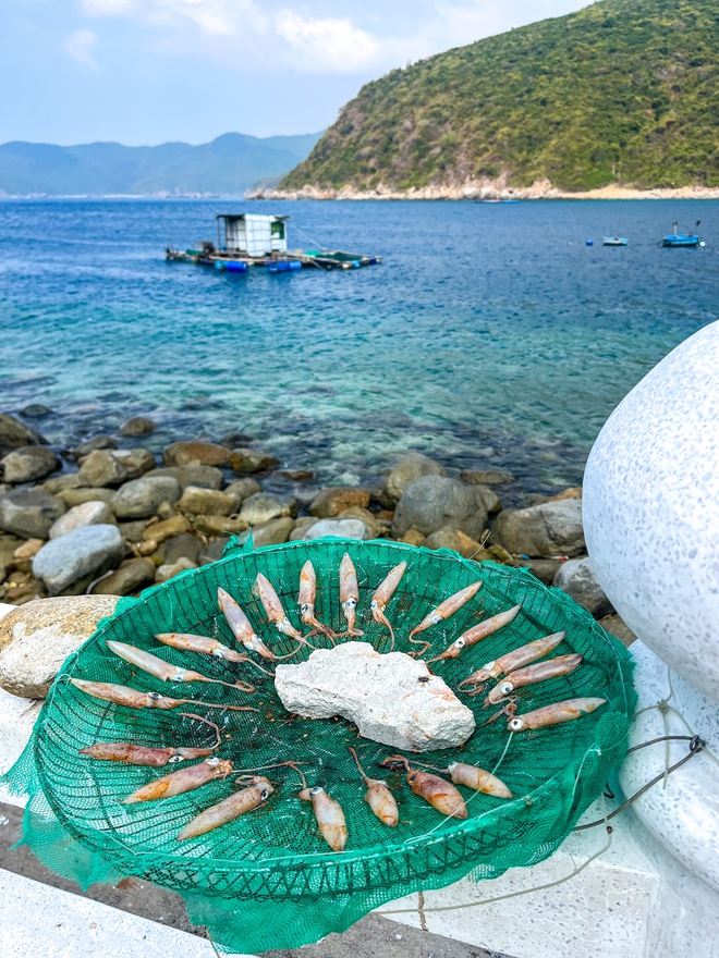 Hòn đảo không khách sạn, không resort, cách đất liền 20km, nhiều người bản địa cũng không biết tới- Ảnh 10.