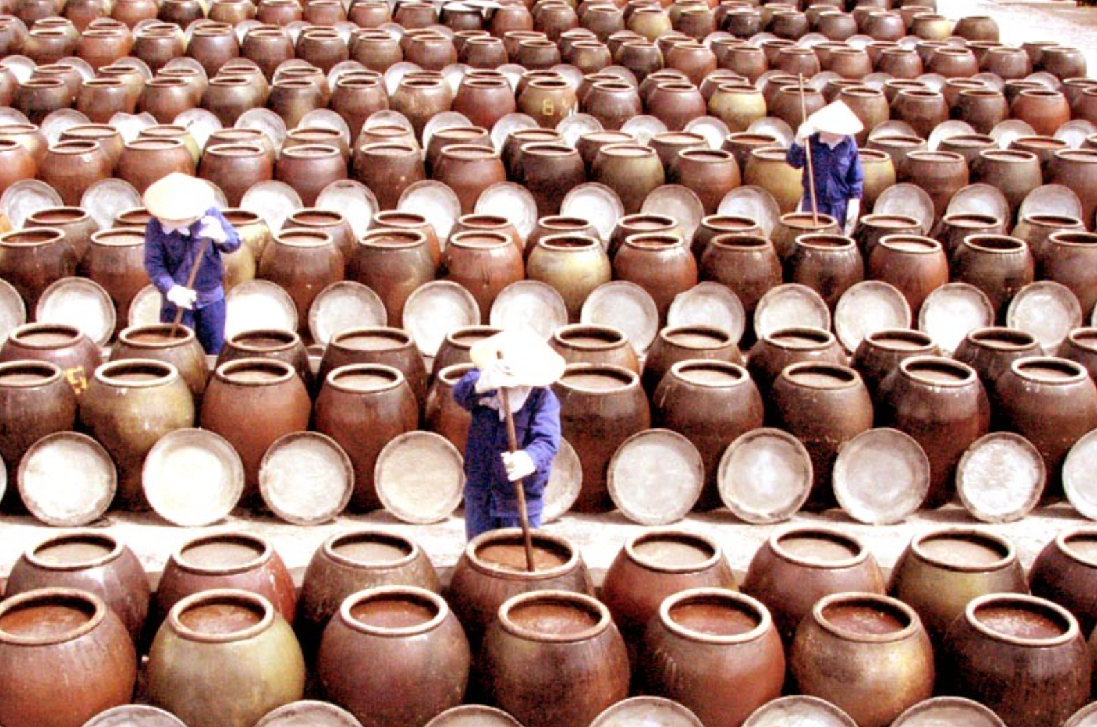 Hòn đảo ngay miền Bắc không cần đi tàu, từ Hà Nội lái xe 3 tiếng là tới: Có "con đường giữa biển" đẹp xuất sắc- Ảnh 6.